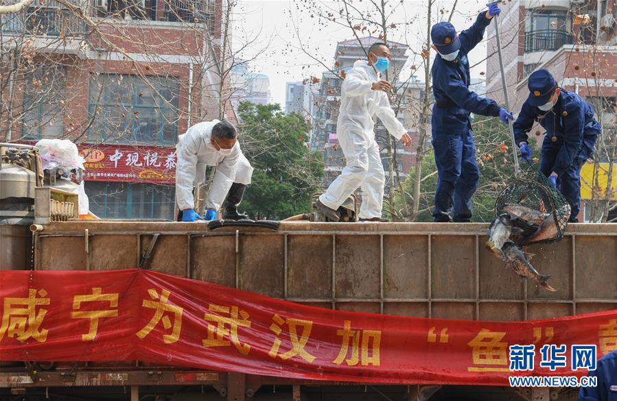 （新華全媒頭條·圖文互動）（12）從人民中汲取磅礴力量——習近平總書記同出席2020年全國兩會人大代表、政協(xié)委員共商國是紀實