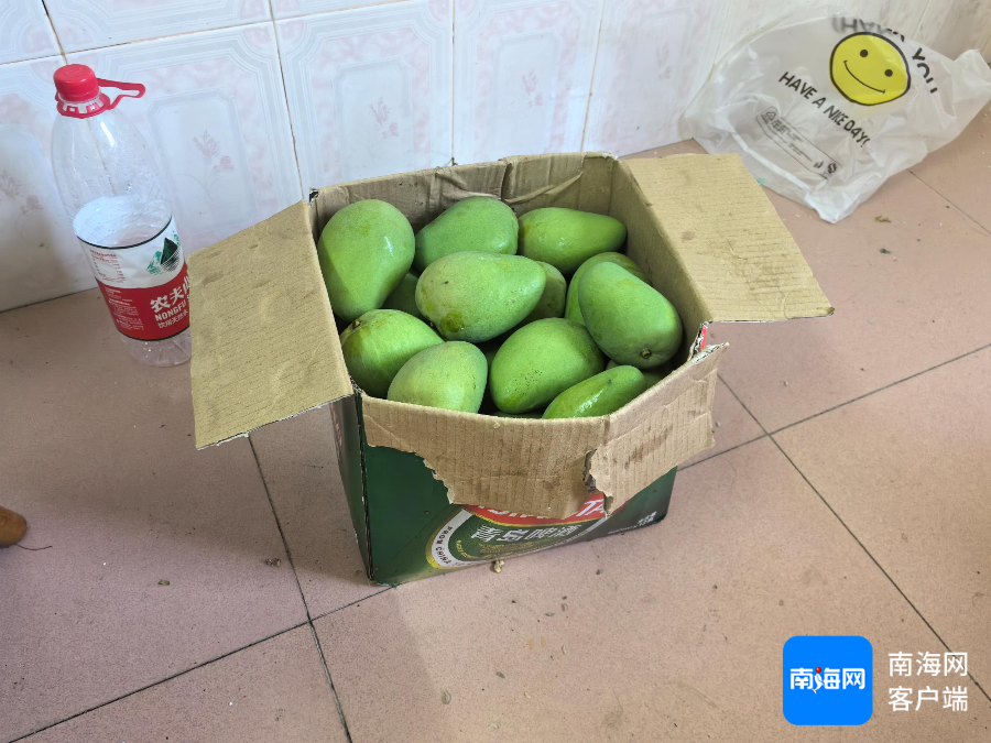 插入圖片