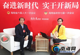 兩會訪談 | 劉蔚：定安將打造古城文化片區(qū) 點(diǎn)線面推動(dòng)全域旅游
