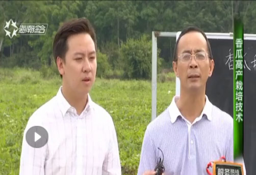 海南省脫貧致富電視夜校第九十九課